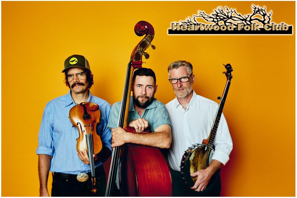 the-lonesome-ace-stringband