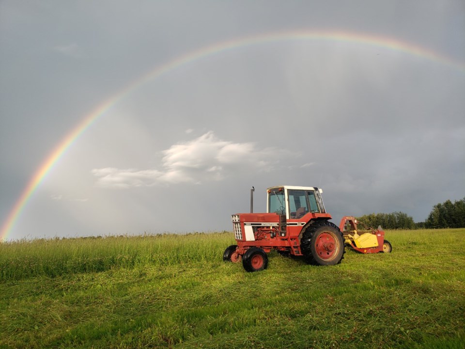 Cutting hay under the rainbow Justin Hensch