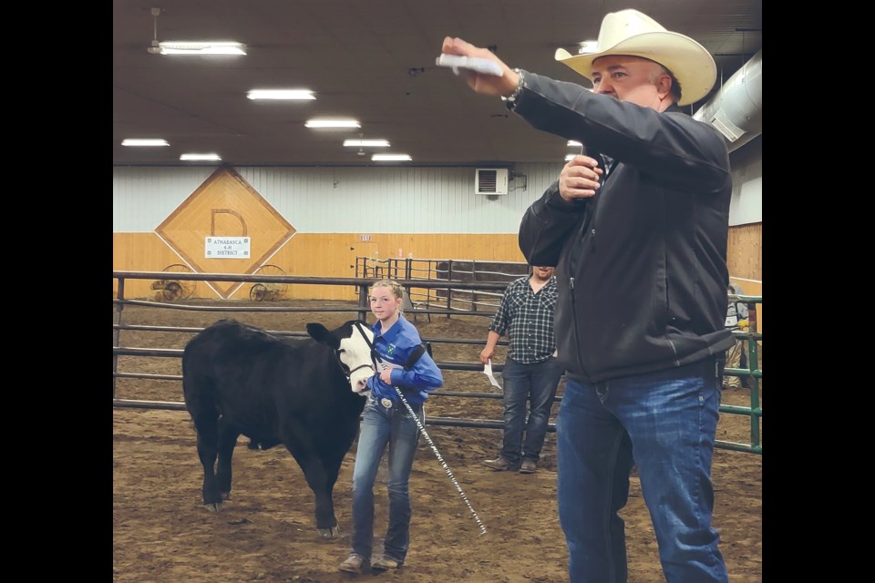 Colinton 4-H member Delaney Kamelchuk enters the buyers ring with her Grand Champion Steer as auctioneer Wayne Kowalchuk asks, very quickly, for buyers in the bleachers to dig deeper. It worked on the highest bidder, Tipton’s Independent who took home the top steer for $7,072.50 at $5.75 per pound. 