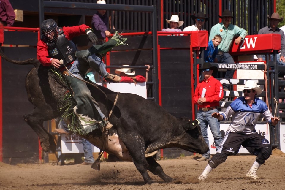 Jordan Hansen from Amisk, Alta. pulls the pin after making eight seconds on the back of Blue Magic for 85.5 points.                             