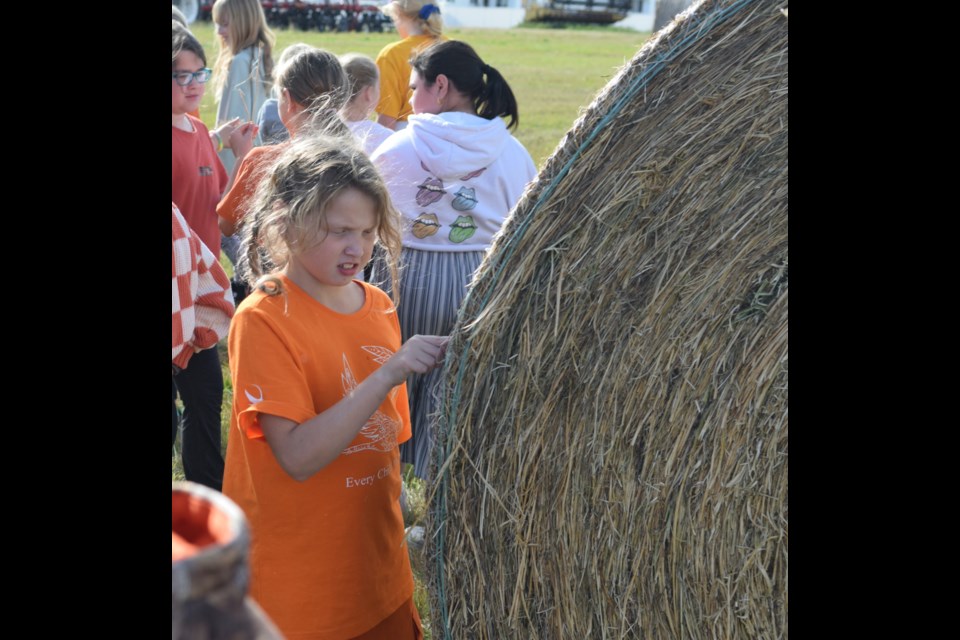 BES Grade 4 student Aveah Payne attempts to poke her finger through a tightly packed bail during a tour of KNM Sales and Service.