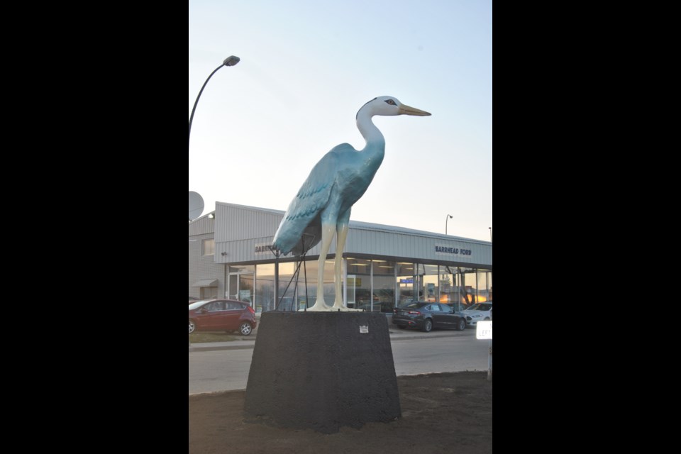 Aaron the Blue Heron, seen here sitting on his perch at the corner of 50 Street and 49 Street in 2014.