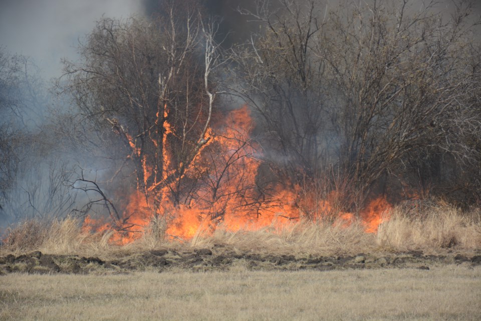 The fire is in the southwest corner of Westlock County, just west of Range Road 14 and north of Range Road 590 (Highway 650) and north, two miles to RR 592. As per a Facebook post from Westlock County Fire Services at 4:15 p.m., April 30, the fire is currently being held.
Photos by Les Dunford/WN