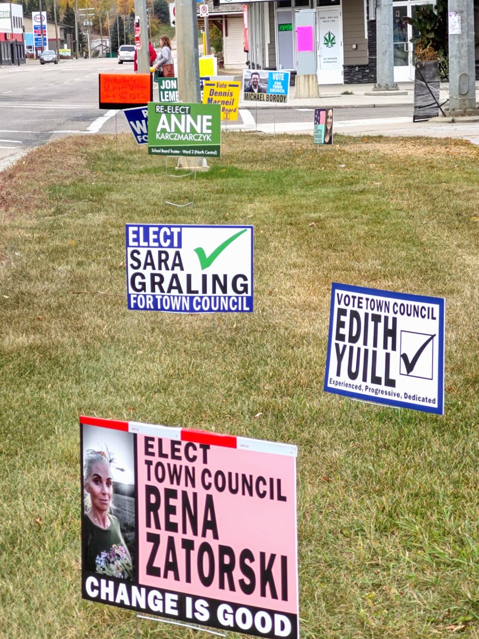 Election signs web