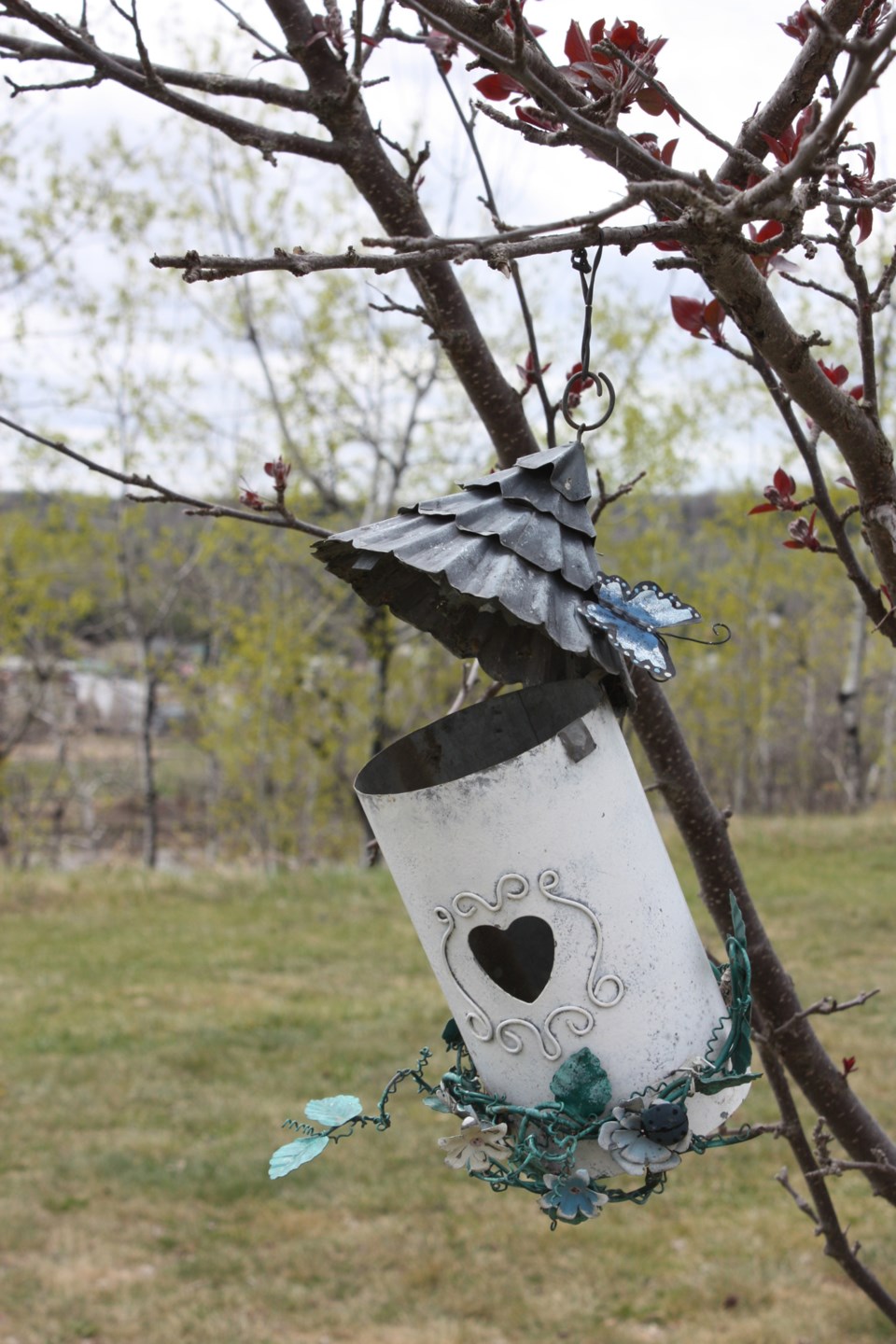 Empty birdfeeder web