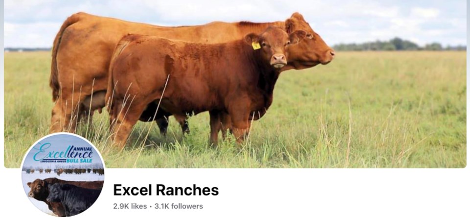 excel-ranches
