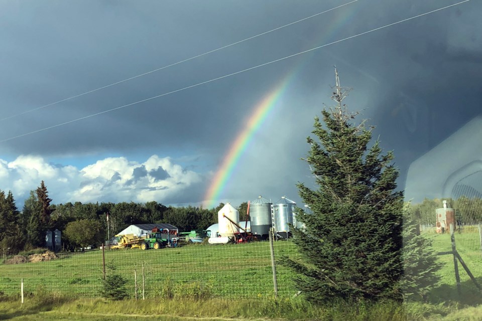 Farm Rainbow_PI