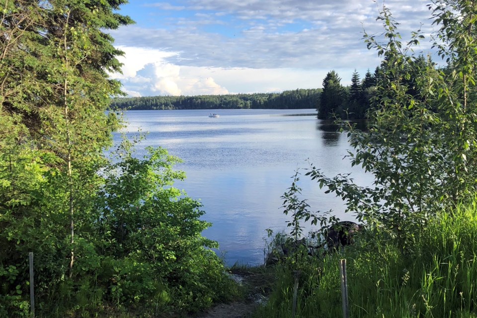 Fawcett Lake_PI_01