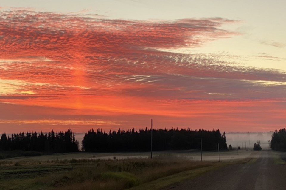 Foggy sunrise randal sierink