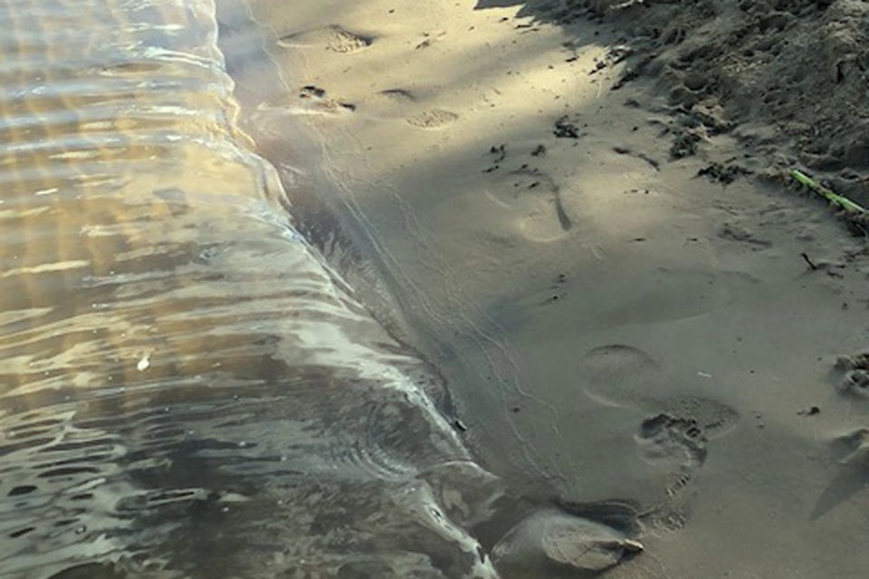 Footprints in the sand North Buck Lake_PI_09
