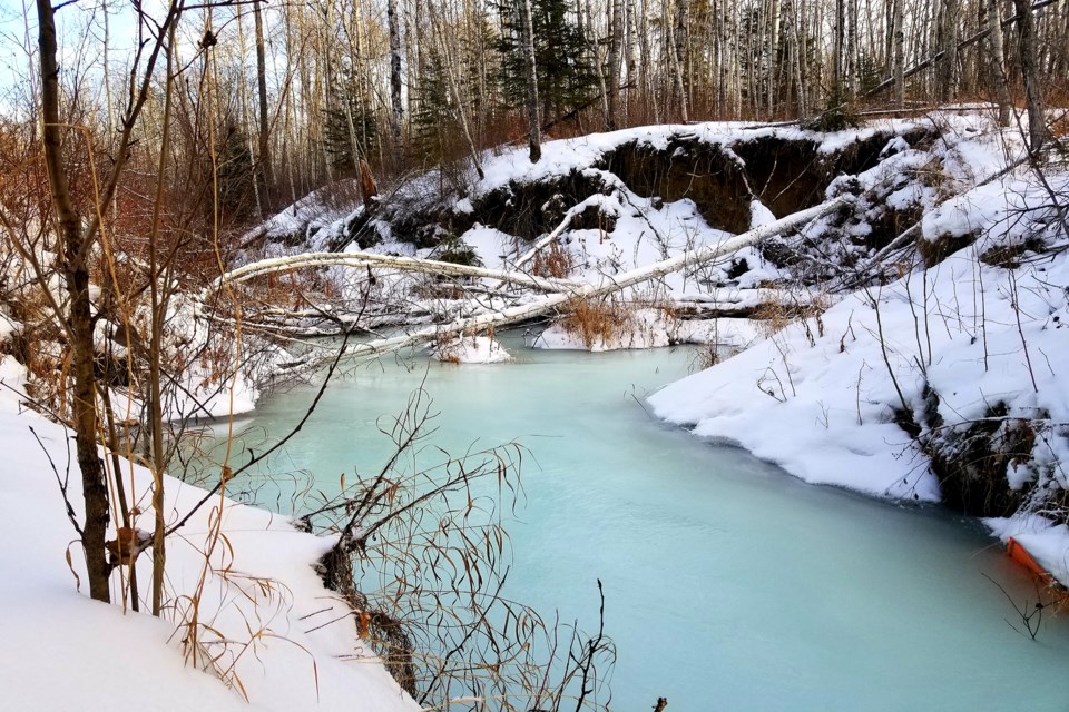 Frozen creek Daniel Schiff