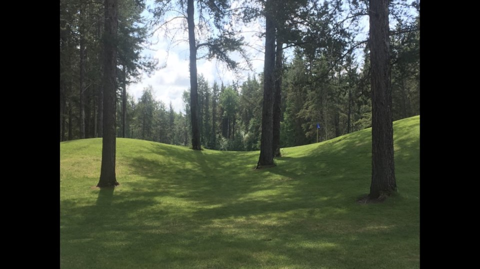 golf course web