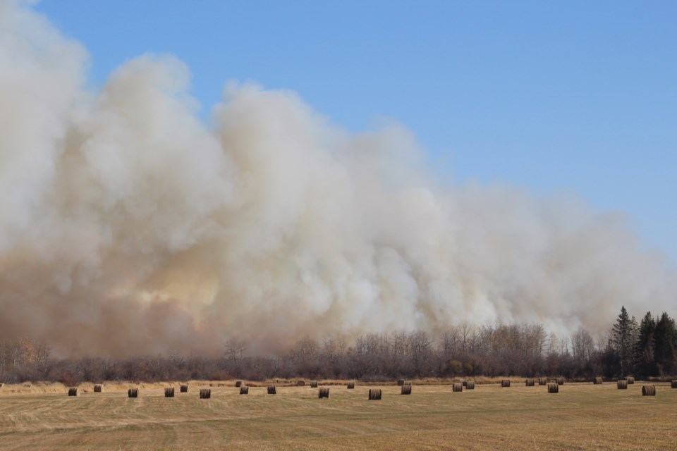 Grass Fire (VM)