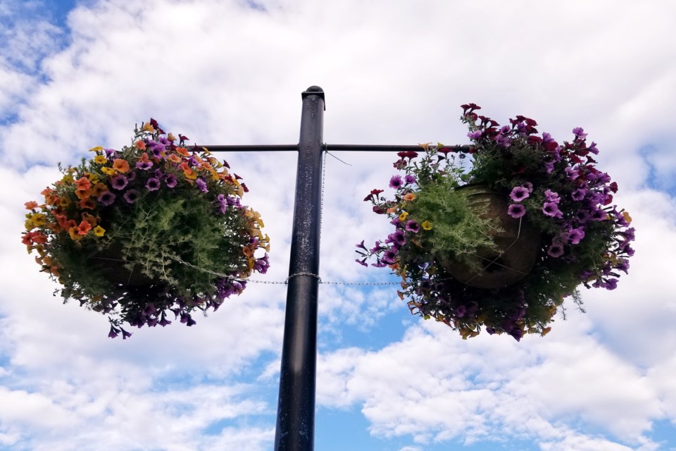 Hanging baskets in the sky Daniel Schiff