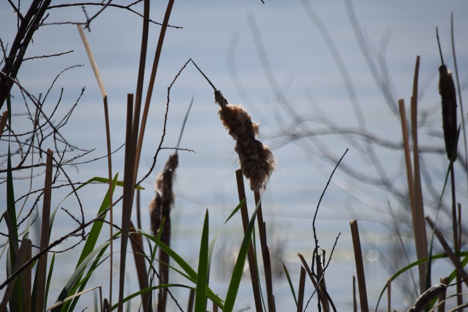 Lac La Nonne Barry