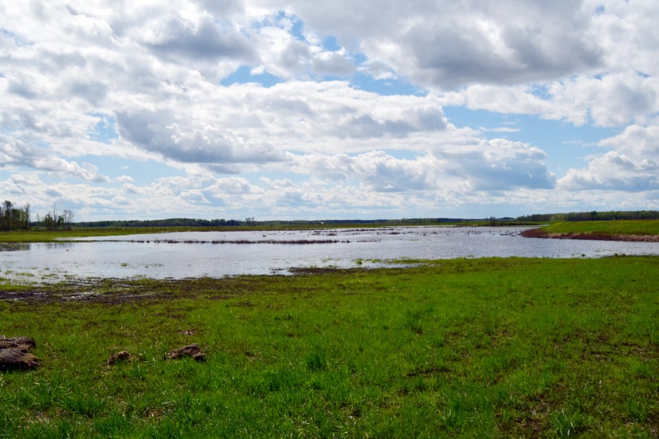 Meadowview flooded field taken by Barry Kerton
