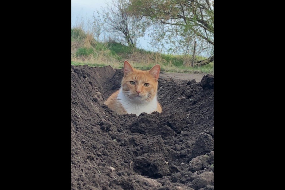 Milo in the muck Xander Paradis