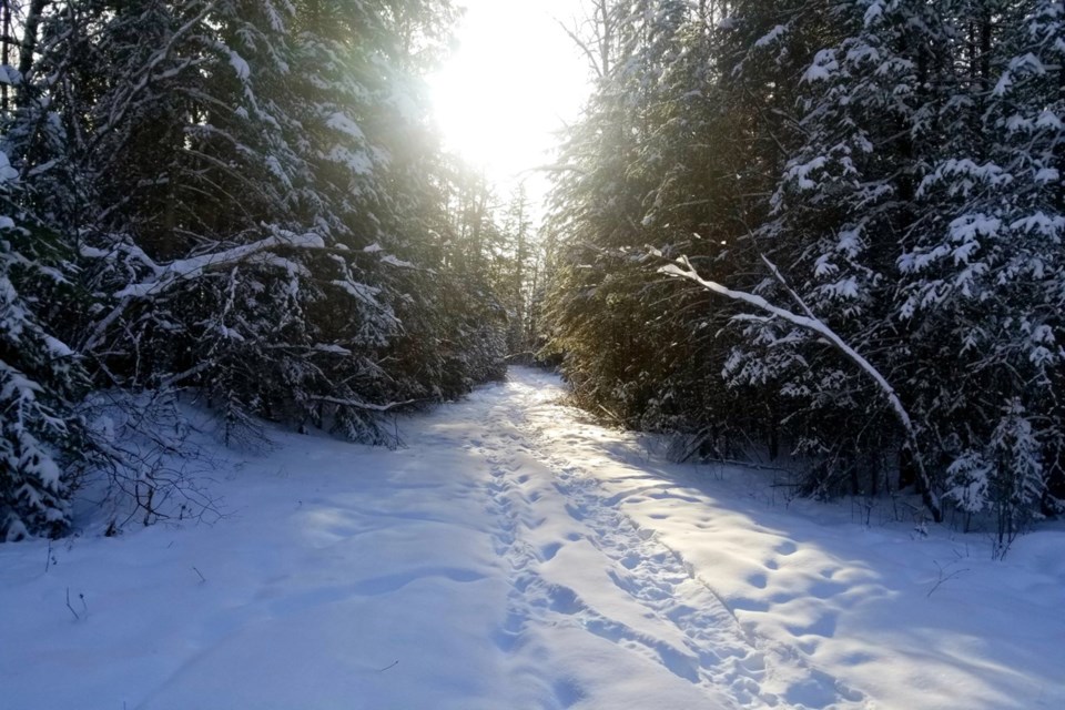 Minus 30 with windchill Daniel Schiff