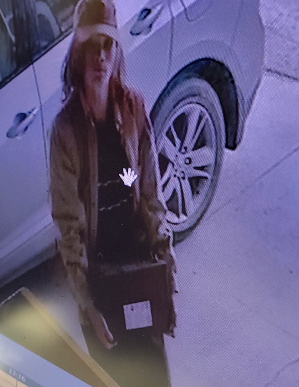 Photos of suspect1