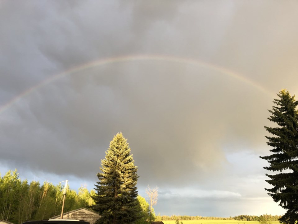 Rainbow web