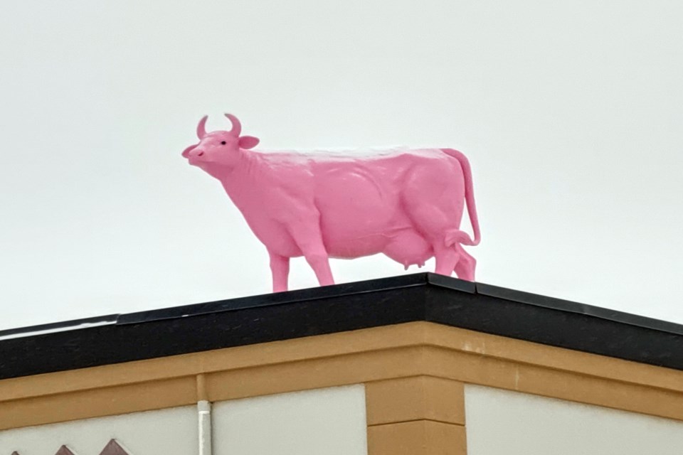 Rare Athabascan roof cow