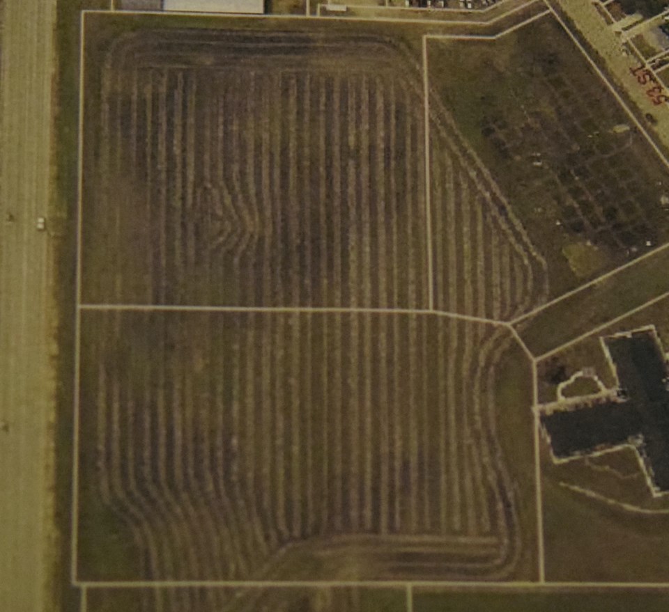schnieder-lands-graphic