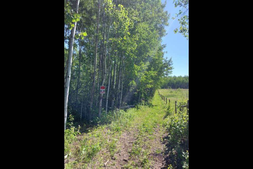 A picture of an quad path that the owners of a Thunder Lake property want to expand to passenger vehicle access.