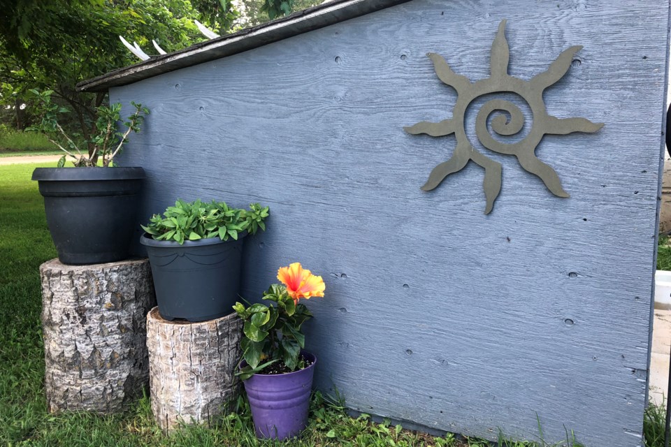 Shed and flowers_PI_01