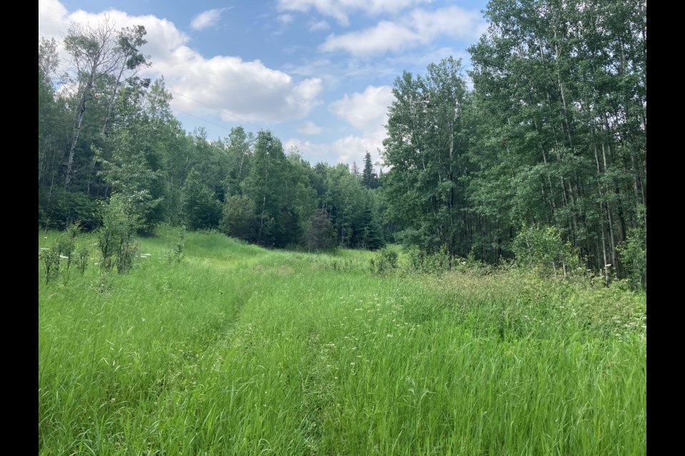 The Tawatinaw Valley cross-country ski trails will be open for hiking and biking this summer.