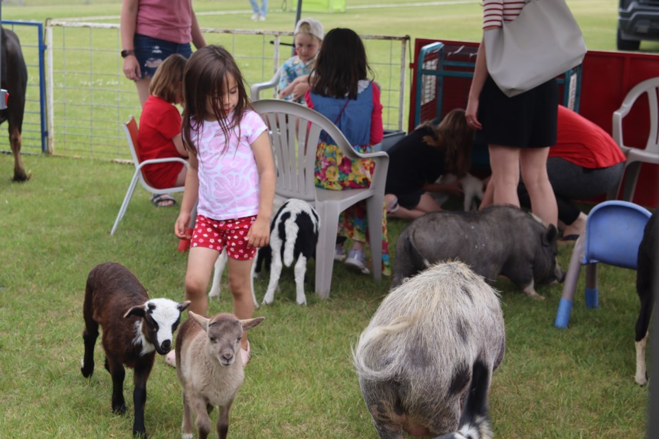 Jon's Funny Farm petting zoo was a hit with the kids at the town of Westlock's Canada Day celebrations on July 1.