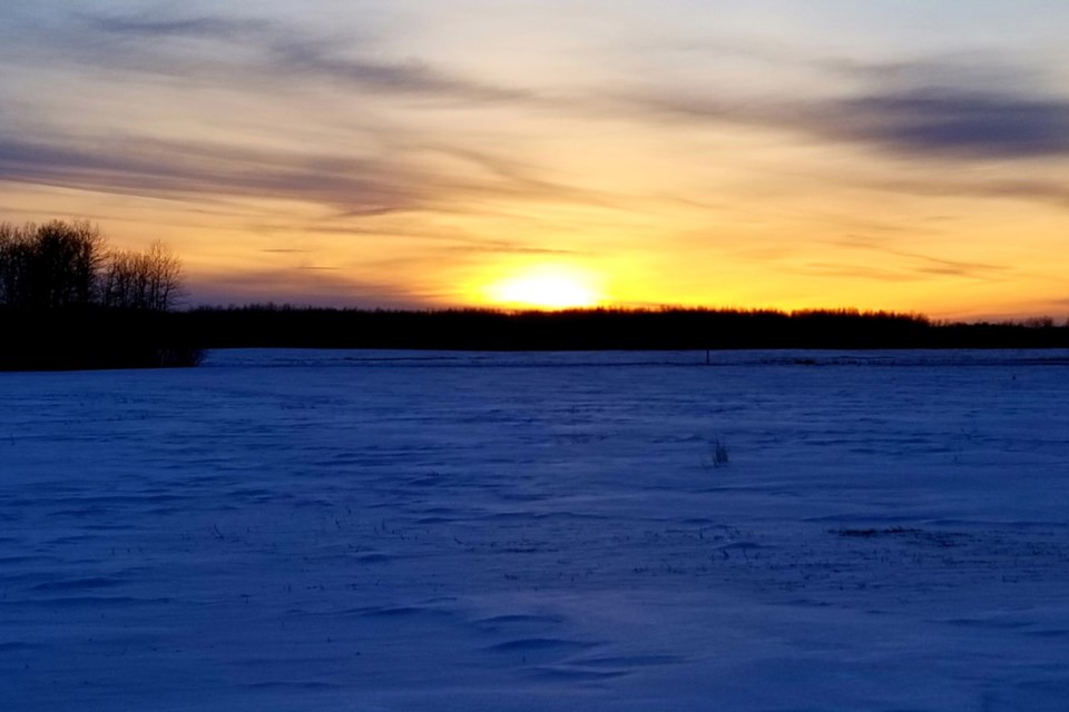 Sunset near the university Daniel Schiff