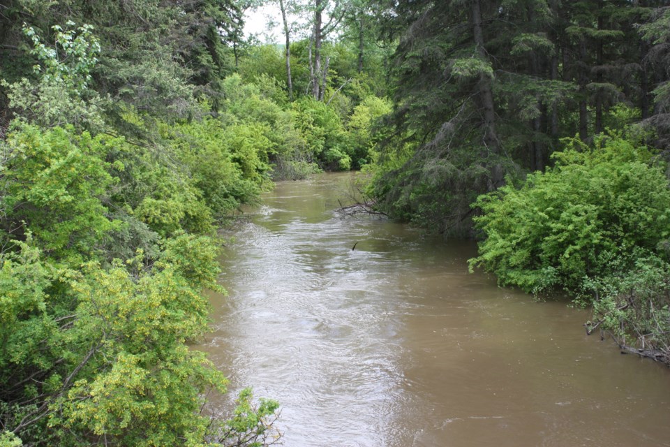 Tawatinaw River at Colinton web Chris Zwick