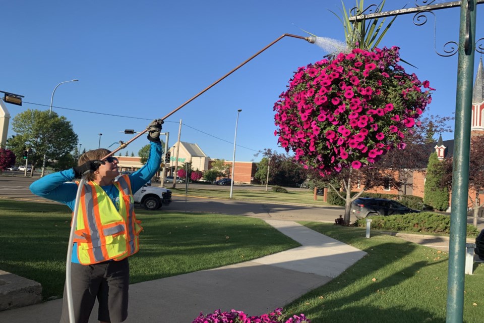 Watering flower baskets