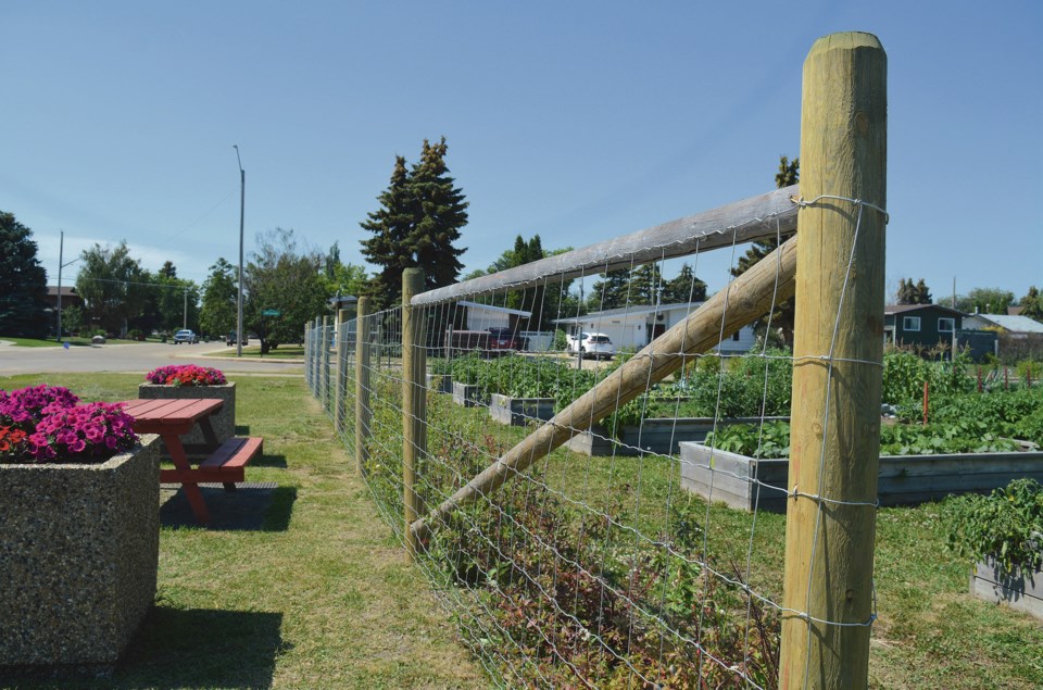 WES - Community Garden Fence 1