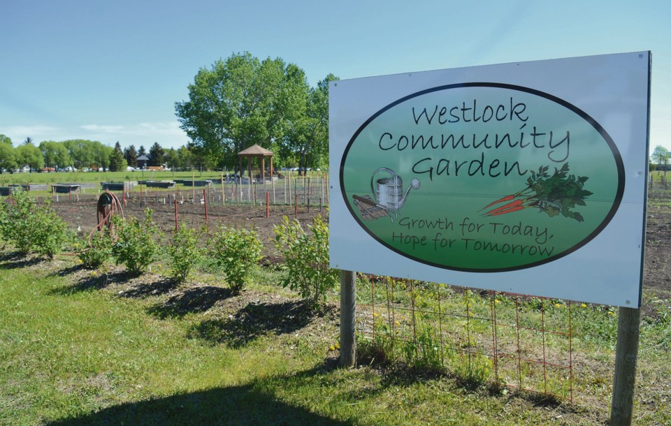 WES - Community Garden Thieves