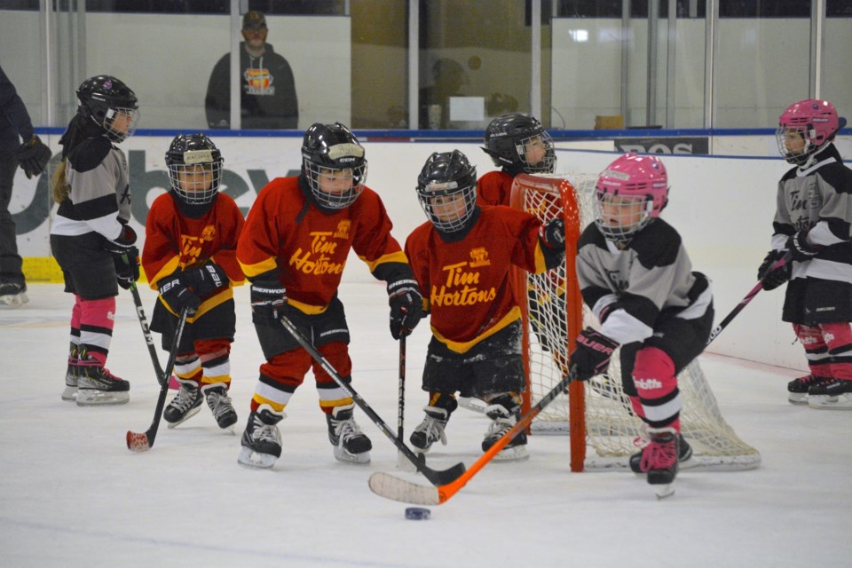 The Westlock and District Minor Hockey Association held its U7 Westlock Warriors Timbits Tournament Jan. 7 at the Rotary Spirit Centre. Dozens of young hockey players between the ages of four to six from across the region participated in the annual one-day event. Pictured are teammates Matthew Beaver, Ryder Zadunayski, Maddox Brand and Leo Montgomery (back) focused on the puck during a game against the Spruce Grove Purple Cheetahs.