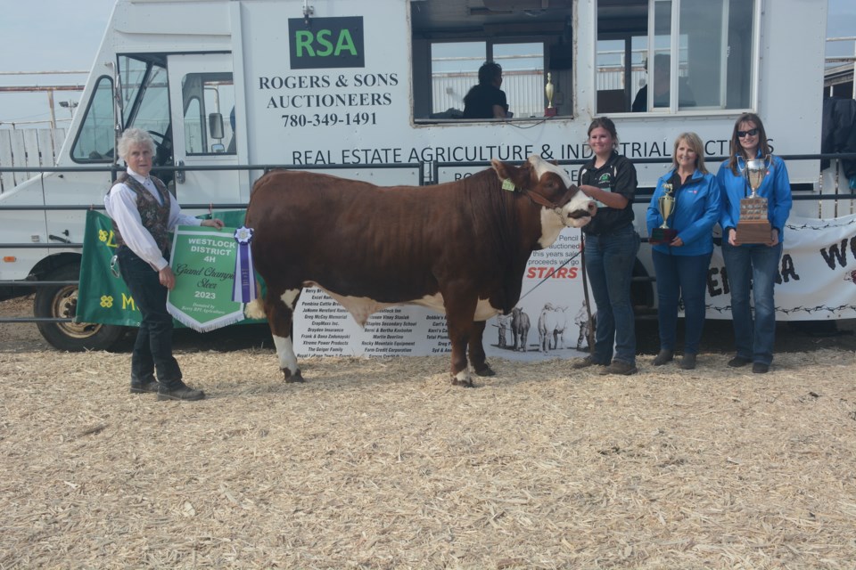Allison Huppertz of the Golden Sunset 4-H Beef Club with her District Grand Champion steer, VIPER at the Westlock District 4-H Beef Achievement Day on June 5. The Berry BP! Agriculture sponsored banner is held by Bertha Kasbohm (left), with the Bank of Montreal trophies presented by Westlock branch representatives Janine Herrick and Robin Armstrong.