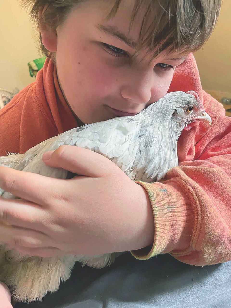 wes-chicken-bylaw-opposition-1
