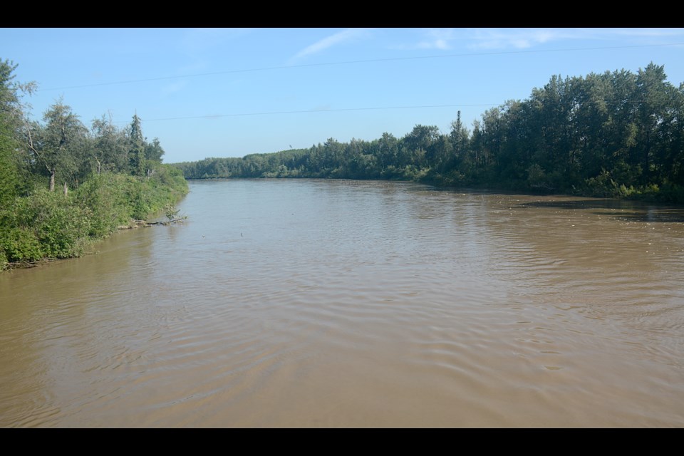 A view of the Pembina River on June 26, looking downstream from the Rossington Bridge on Highway 18.
Photos by Les Dunford/WN