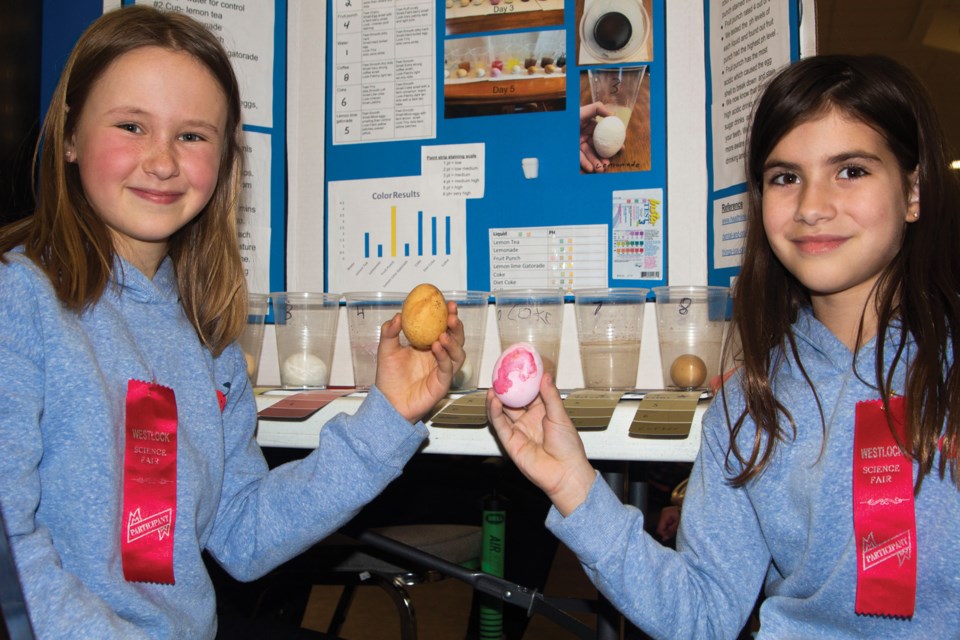 Eight schools in the region were represented by 96 students for the 51st annual Westlock Local Science Fair March 4. Sydney Provencal and Ava Properzi from Westlock Elementary worked with eggs for their project.
Photos by Andreea Resmerita/WN