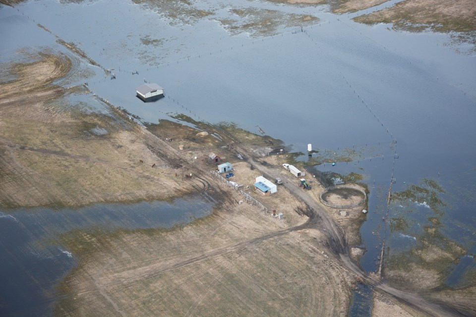 This is usually Pibroch Colony’s calving area for April and May, but conditions are too wet to use it this year. Aerial shot taken April 28. Les Dunford/Town & Country