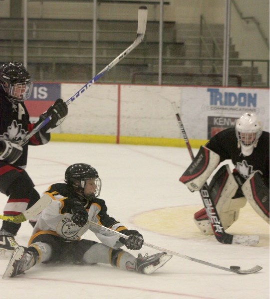 Josh Payuk of the Athabasca bantam &#8216;AA&#8217; Hawks does his best to get the puck on the Whitecourt Leafs net while on the seat of his pants during a 9-0 home win