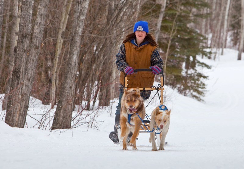 Bradie Dearle and her dogs race down the Muskeg Creek Trail during the NAMA Fun Day Dog Sled Race Saturday.