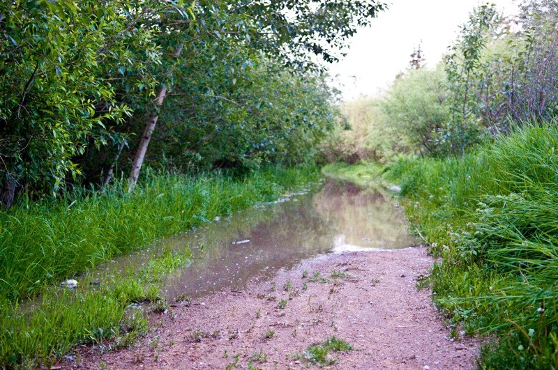 The river is continuing to rise and has engulfed the Rotary Way walking path in several locations.