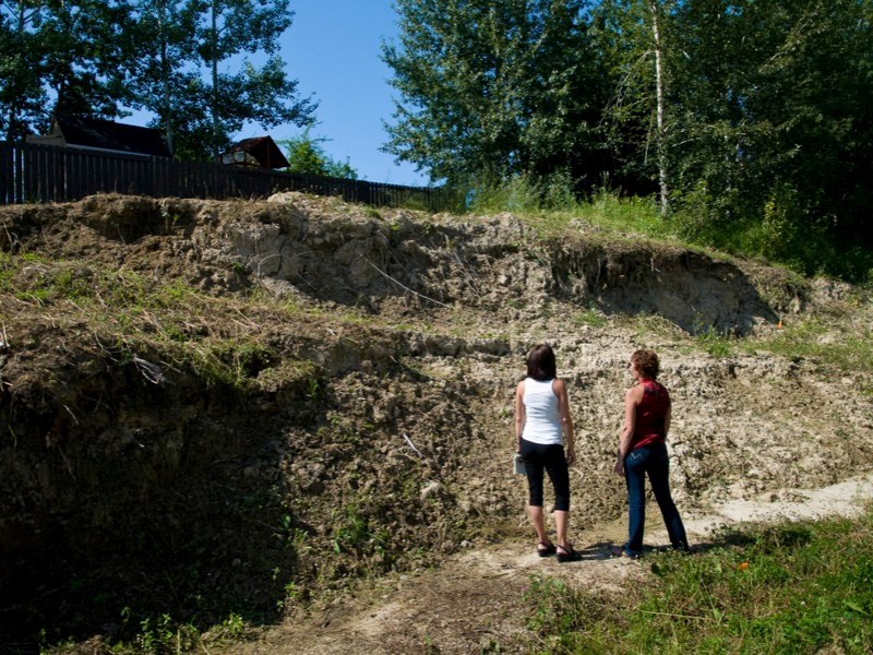 Hees Estates home owner Barbara Bell welcomed Global Edmonton journalist Julie Matthews to see her property firsthand last Friday. (left, top and bottom) Bell (right) and