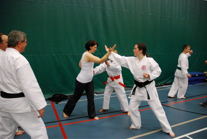 At the Community Wellness Expo on Saturday, the Wa-No Kaze Kai Karate Club demonstrated their martial art. Gabriela Husch (left) and Alyssa Day get some one-on-one training