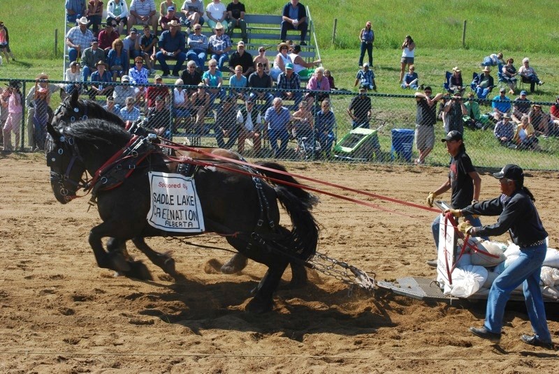 Heavy horse pulls was only one of the exciting events taking place at the Rochester Centennial Fair on Aug. 11, but it&#8217;s one that drew in a large crowd to watch the