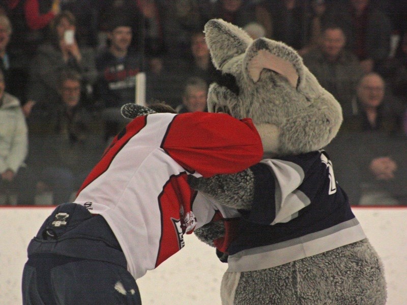 The CFCW Critters challenged the Boyle Oldtimers to a fun game last Thursday. The Critter and Kevin Foye go toe to toe.