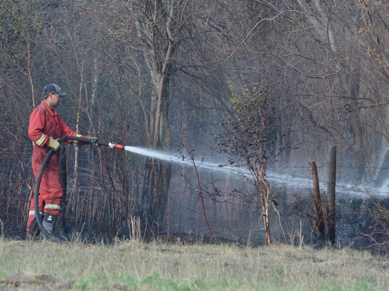 A wildfire tore through 130 acres of land 5km east of Donatville last week.