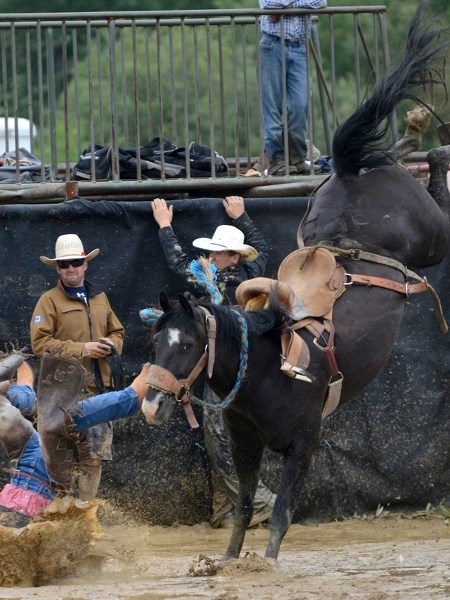 Paul Robinson from Black Diamond finds out head first just how much mud and water there is in the arena during the saddle bronc event at last weekend&#8217;s annual Boyle